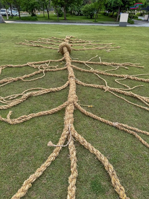 1dead038d45eefa225541d0c3e2e1e8c_1747892529_78.jpg